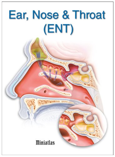 What is the full form of ENT?