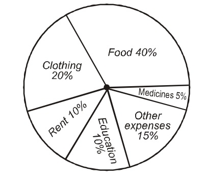 Pie Chart On Monthly Expenses Of A Family