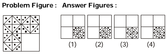 Completion Of Incomplete Pattern Difficult Questions and Answers | Page - 4